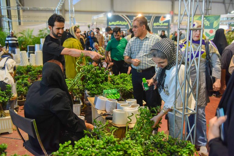 DSC_9653 گل و گیاه
